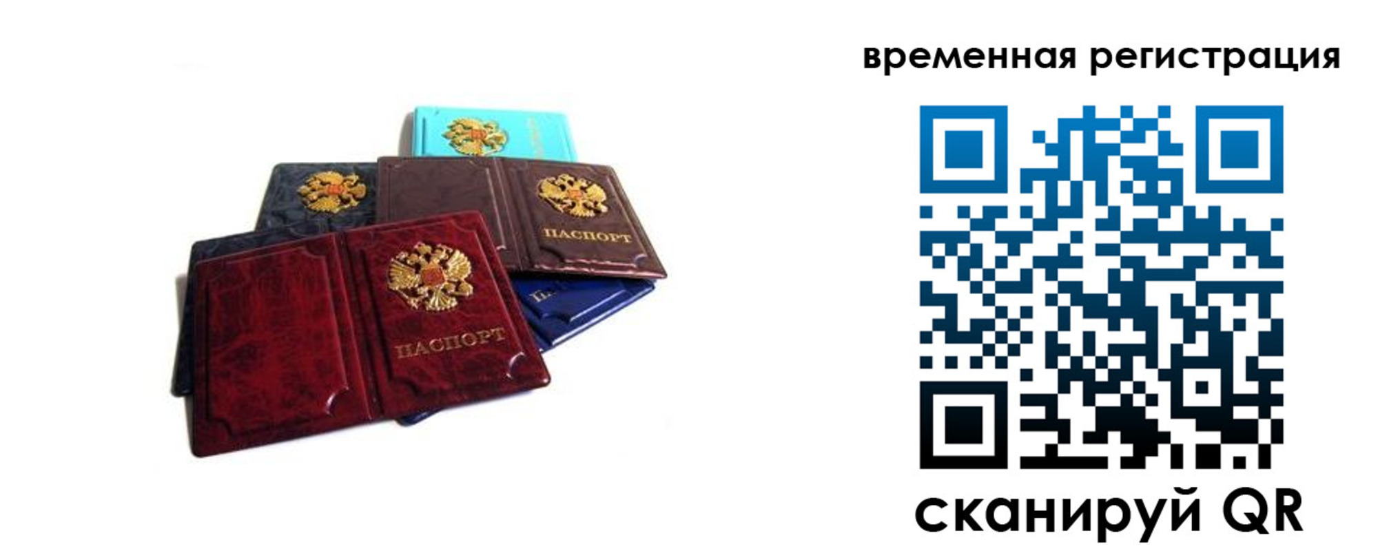 прописка гарантия в Кольчугино
