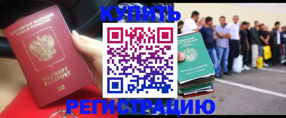 где прописаться в Кольчугино